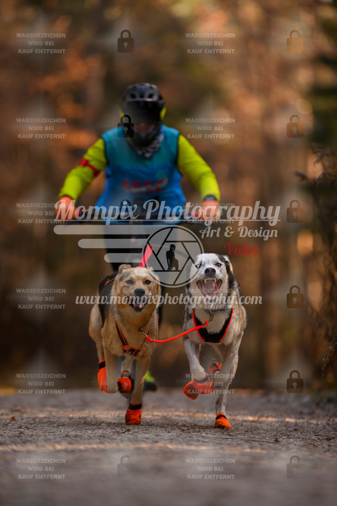 MompixPhotography_DM_AKDM_SO_2025_Scooter-47 | PayLife