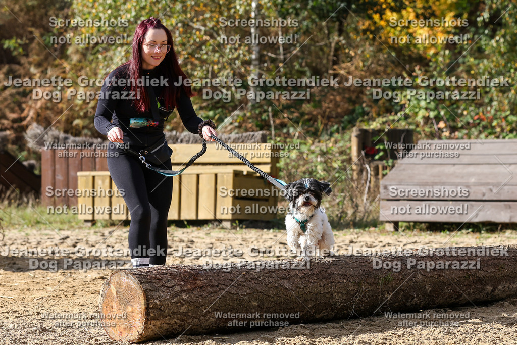 Dog Paparazzi - Strongdog 10-25-5676 | Dog Paparazzi Jeanette Grottendiek Fotografie & Videografie - Realisiert mit Pictrs.com