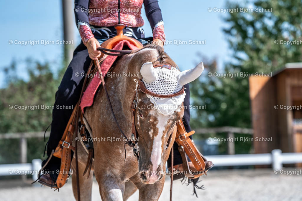 HOB00978 | BS-foto
