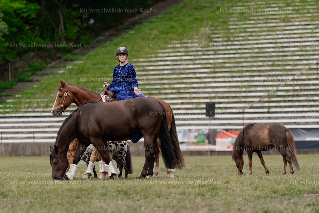 Showprogramm-454 | working equitationturnier fotograf videograf stoibphotography marixx film working equitation deutschland reitsport turnierfotografie eventfotografie equestrian events