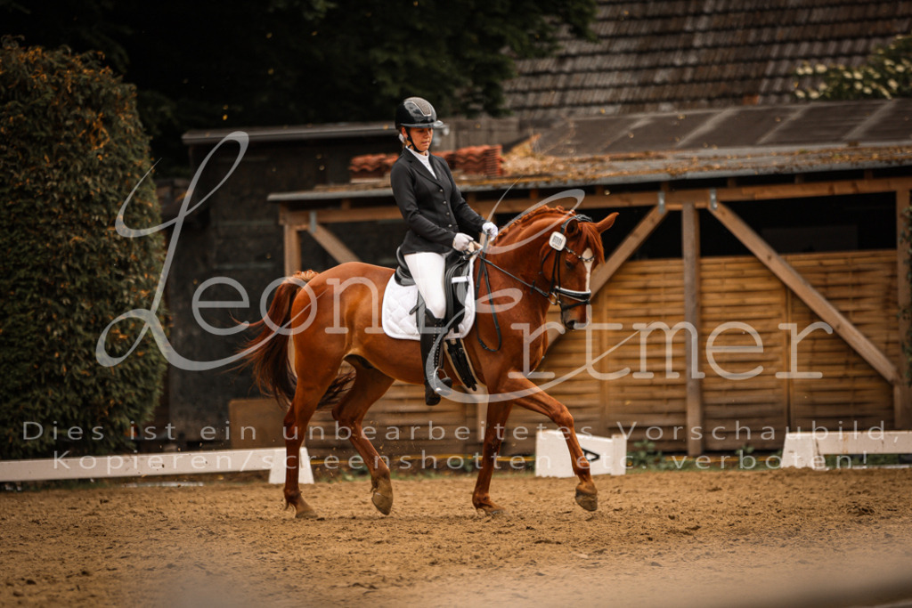 DoDrE00247 | Leoni Ertmer Photography - Realisiert mit Pictrs.com