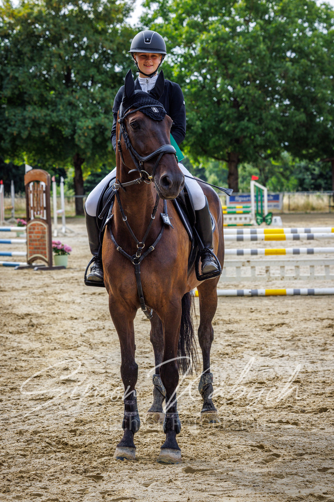 20260705-_3LI4055 | Tierfotografie Pferde, Hunde, Katzen, Haustiere.
Turnierfotografie Reitturniere, Reiten, Springreiten, Dressur in Hanau, dem Main-Kinzig-Kreis und dem Rhein-Main- Gebiet um Frankfurt