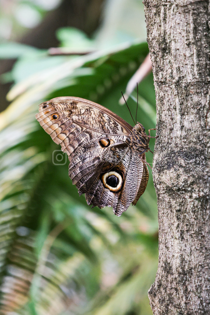 A.Trupina-252 | antonija-trupina - Realisiert mit Pictrs.com