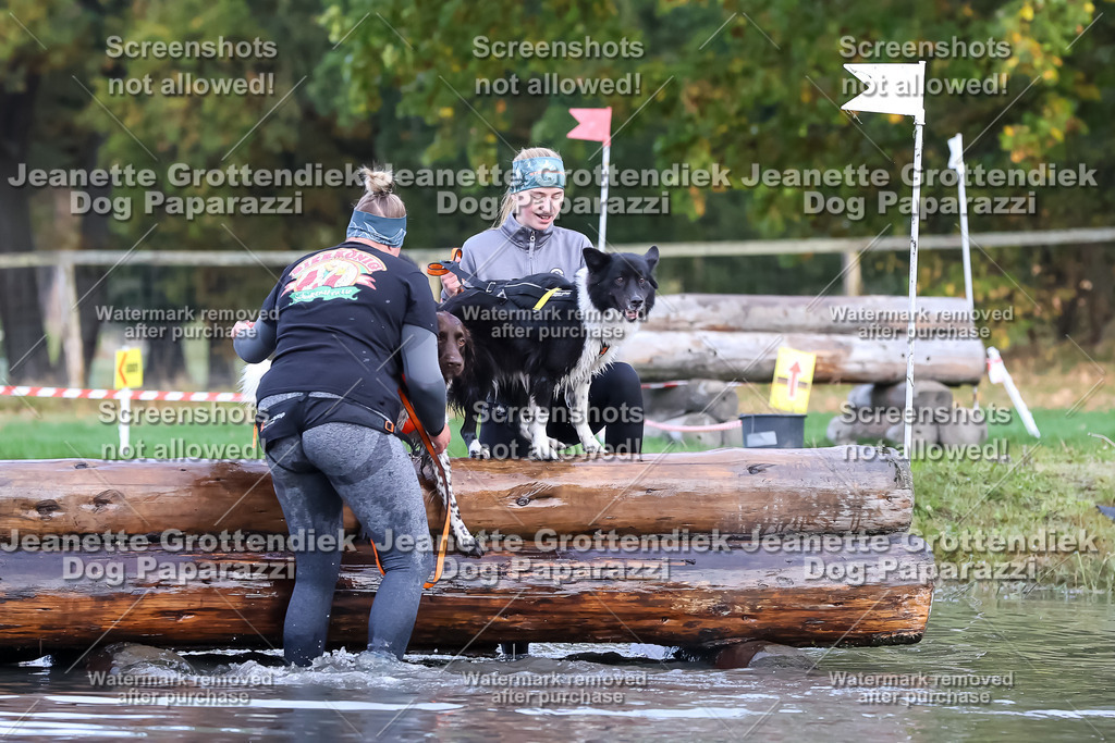 Dog Paparazzi - Strongdog 10-25-6703 | Dog Paparazzi Jeanette Grottendiek Fotografie & Videografie - Realisiert mit Pictrs.com
