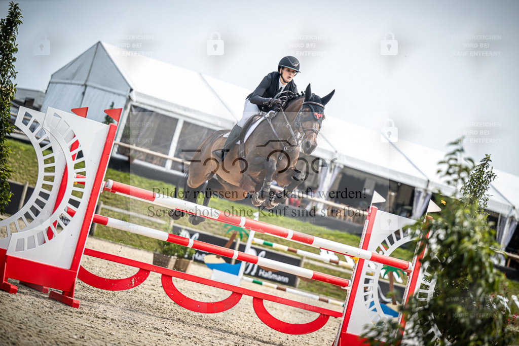 DOS_9563 | Entdecke hochwertige Reitturnierfotos von Foto Oger. Professionell, emotional und authentisch – jetzt Lieblingsmomente im Shop bestellen. - Realisiert mit Pictrs.com