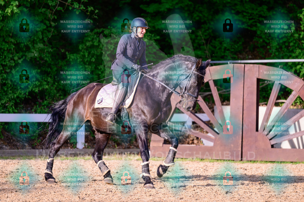 02052026-Giesenbach-03-Speedtrail-0668 | Fokus Hufschlag Fotografie - Realisiert mit Pictrs.com