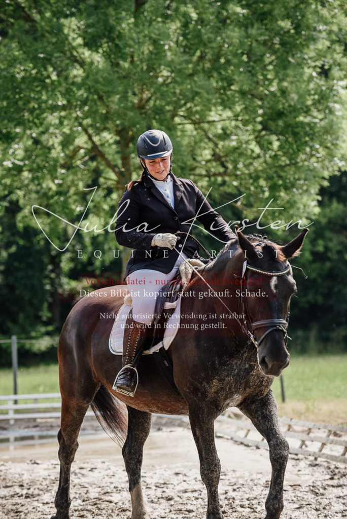 DSC_0255 | Pferde- und Turnierfotografie in Westsachsen. Pferdeportraits, Auftragszeichnungen und intuitive Kunst.