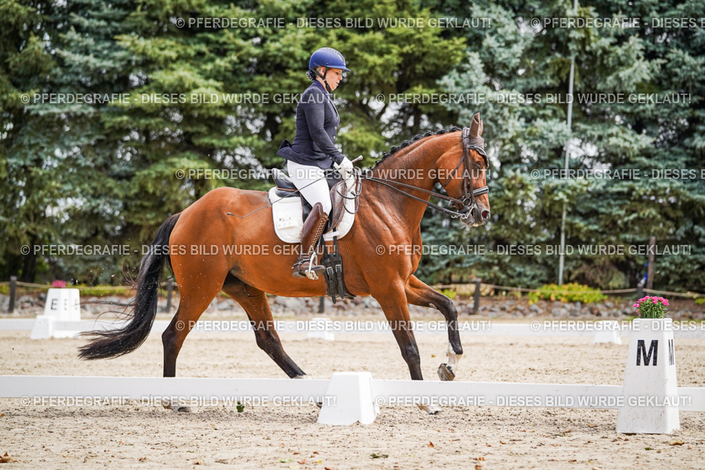 DSC03248 | Pferdegrafie