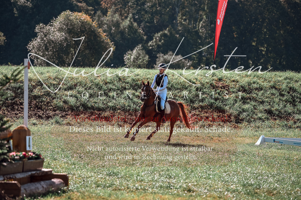 DSC_0866 | Pferde- und Turnierfotografie in Westsachsen. Pferdeportraits, Auftragszeichnungen und intuitive Kunst.