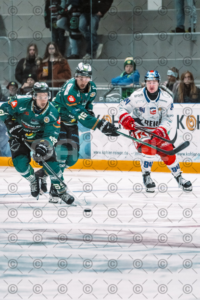 Alligators_vs_Selb_13_09_2026-12 | Die Fotogalerie von Daddel: professionelle Bilder von Sport, Events und Unternehmen aus Franken. Jetzt Galerien durchstöbern und Lieblingsfotos bestellen. - Realisiert mit Pictrs.com