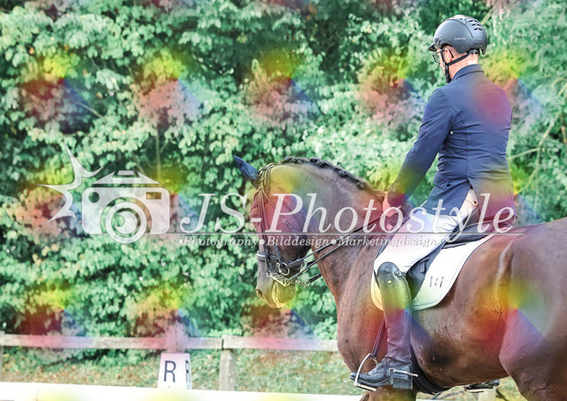 20250727_Dressurprfg_Kl.Mxx-136 | JS-Photostyle - Sport-/Portrait- & Eventfotografie