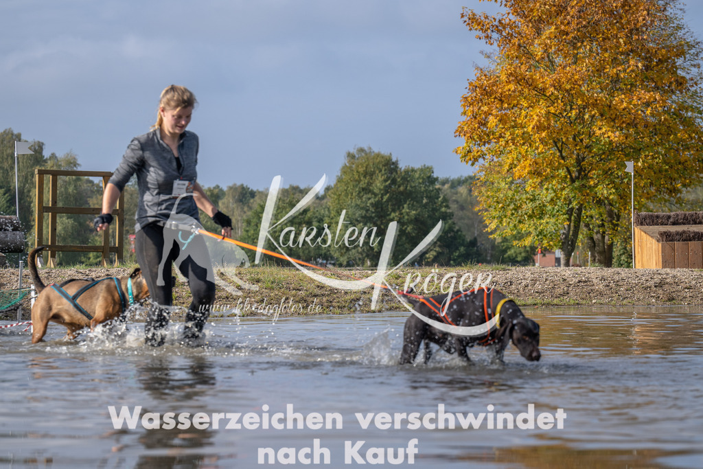 1143_ZZ93784 | kk-dogfotos
