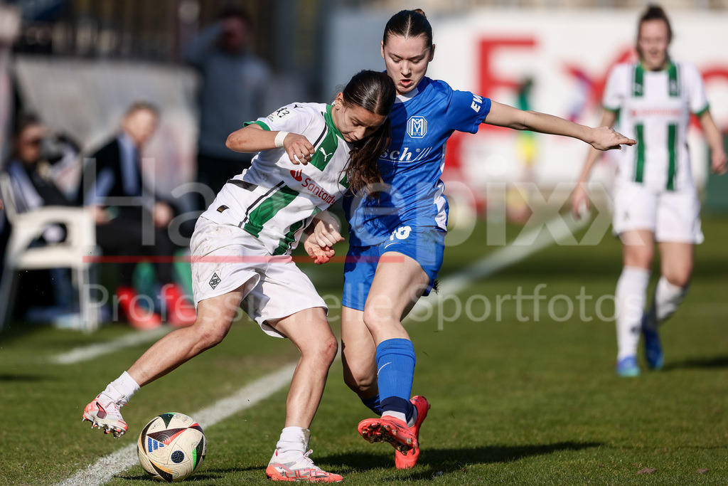 Fussball, 2. Frauen-Bundesliga, SV Meppen - Borussia Mönchengladbach | v.li.: Alina Abdii (Borussia Mönchengladbach, 11) und Sonja Lux (SV Meppen, 15) im Zweikampf, Duell, Dynamik, Aktion, Action, Spielszene, DIE DFB-RICHTLINIEN UNTERSAGEN JEGLICHE NUTZUNG VON FOTOS ALS SEQUENZBILDER UND/ODER VIDEOÄHNLICHE FOTOSTRECKEN. DFB REGULATIONS PROHIBIT ANY USE OF PHOTOGRAPHS AS IMAGE SEQUENCES AND/OR QUASI-VIDEO.