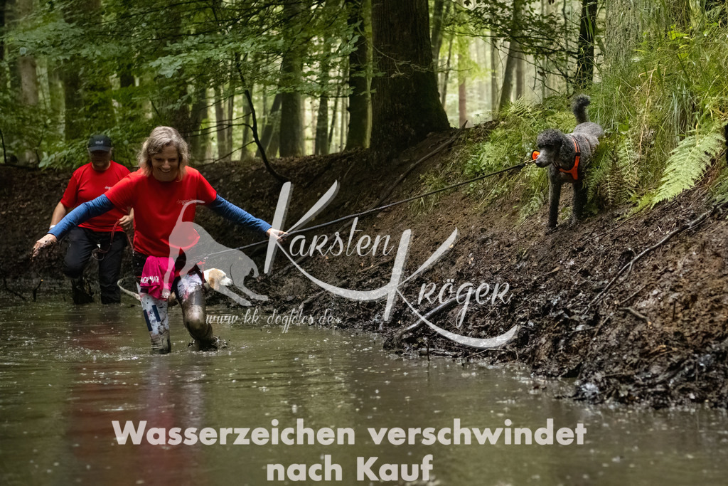 1251_ZZ91546-Bearbeitet | kk-dogfotos