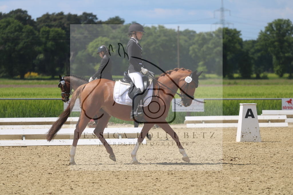 IMG_4352 | jessicahollubetz_pferdephotographie - Realisiert mit Pictrs.com