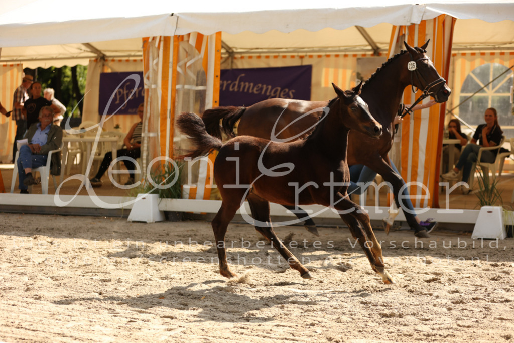 08.DoRPS00035 | Leoni Ertmer Photography - Realisiert mit Pictrs.com