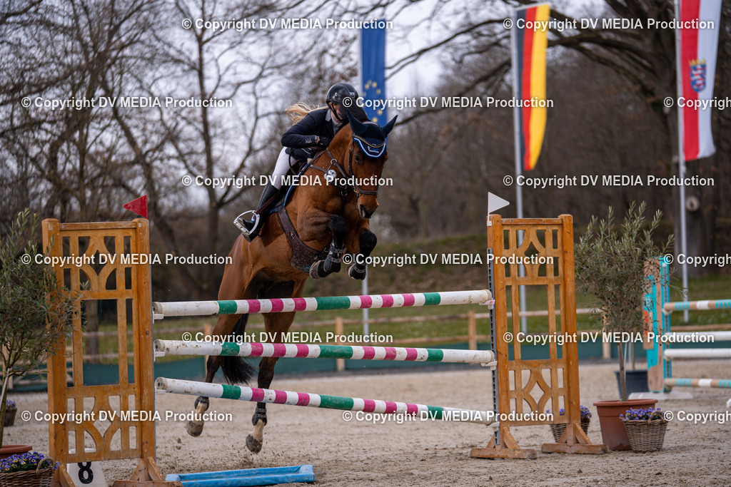 Kranichstein Tag 2-2196 | dv-media-shop - Realisiert mit Pictrs.com