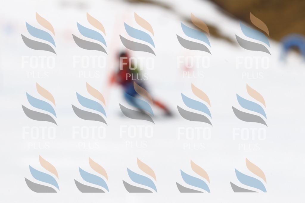 _U3G6738 | holidayphoto