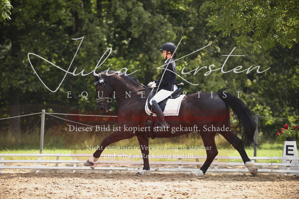 DSC_0683 | Pferde- und Turnierfotografie in Westsachsen. Pferdeportraits, Auftragszeichnungen und intuitive Kunst.