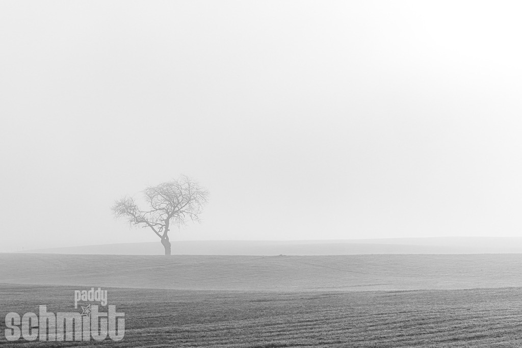 PS-Natur-2026-145 | Entdecke die größte Bildgalerie der Region mit Fotografien aus dem Allgäu, der Bodenseeregion, Oberschwaben, dem Donautal und der Schwäbischen Alb. Landschaften, Luftaufnahmen und Reisefotografie als Wandbild und Fotokunst. - Realisiert mit Pictrs.com