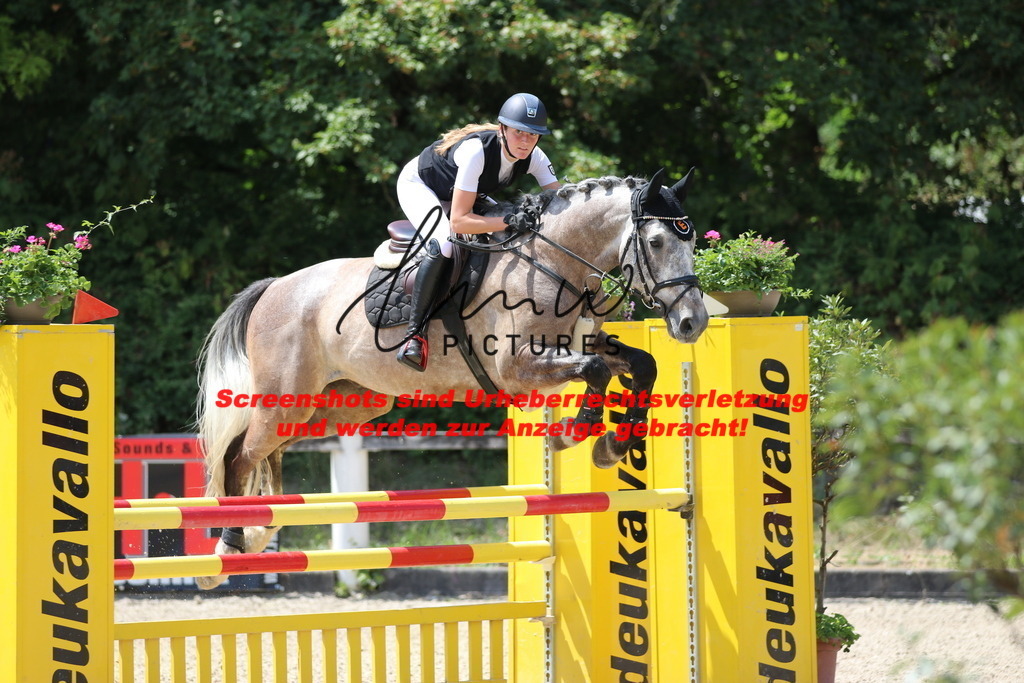 IMG_0061 | lmwpictures - Realisiert mit Pictrs.com