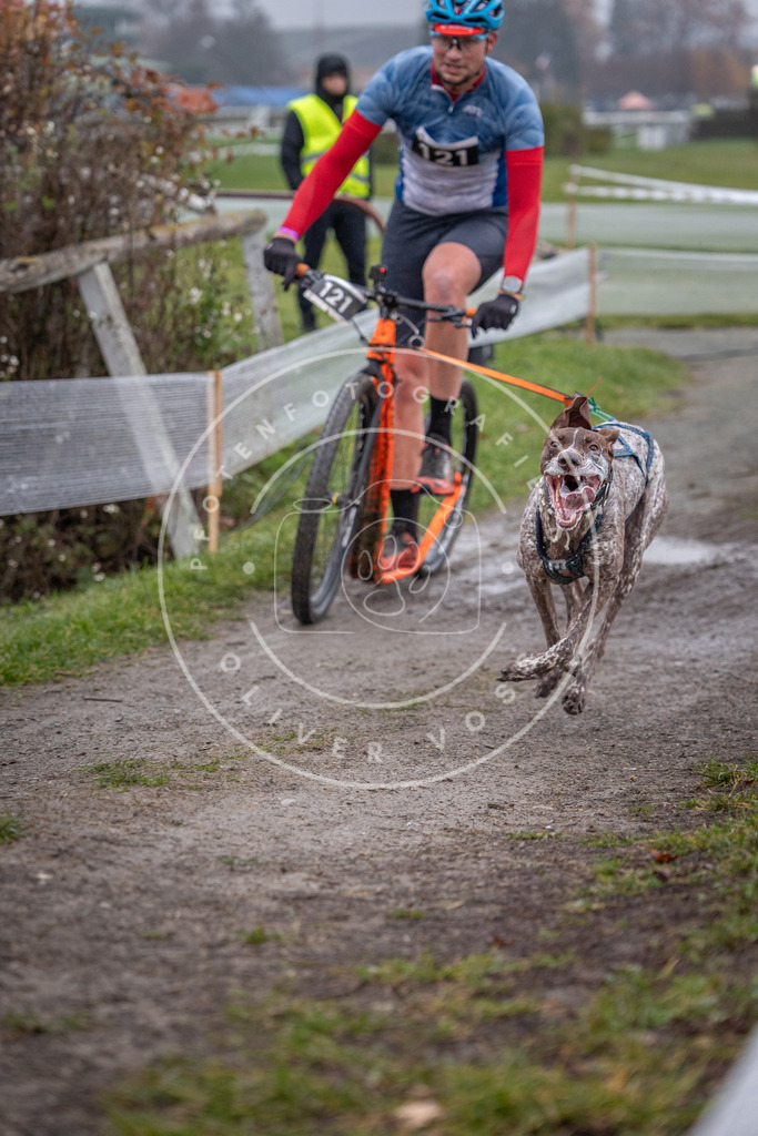 CaniXpix_0L8A0714 | Hundefotografie, Tierfotograf, Pfotenfotografie, Fotoshooting Hund, Hunde Portrait, Hundesport, Hundeportraits, Heideshooting, Hunde, Sportfotograf, Hundefotograf, Turnierhundsport, THS,  - Realisiert mit Pictrs.com