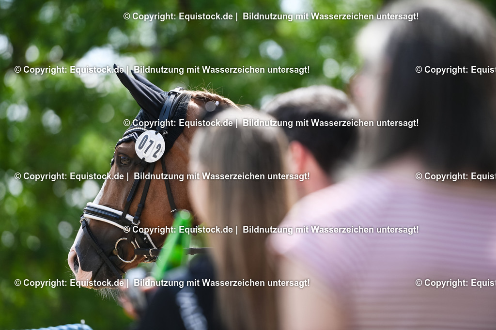 20230716_03_Dressurprfg. Kl.L - Tr._0465 | equistock
