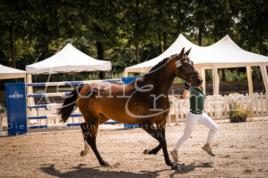 1.Fr00093 | Leoni Ertmer Photography - Realisiert mit Pictrs.com