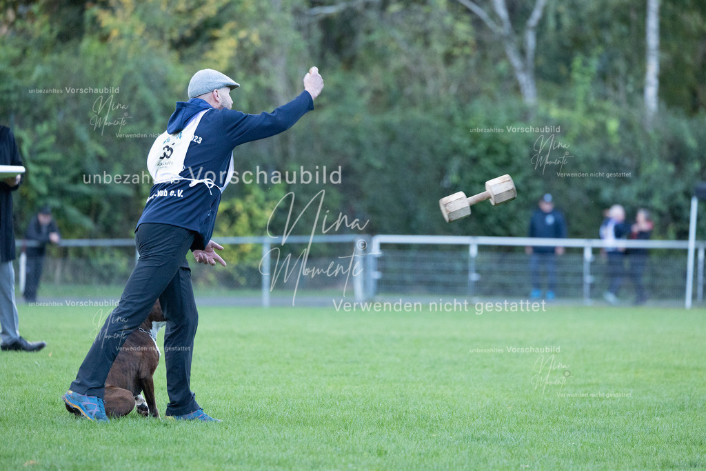 _16A4562 | Einzigartige Fotos von Hunden & Menschen –Actionfotos, Portraits, Vereinsaufnahmen & Paarshootings – authentisch, lebendig & mit Herz.