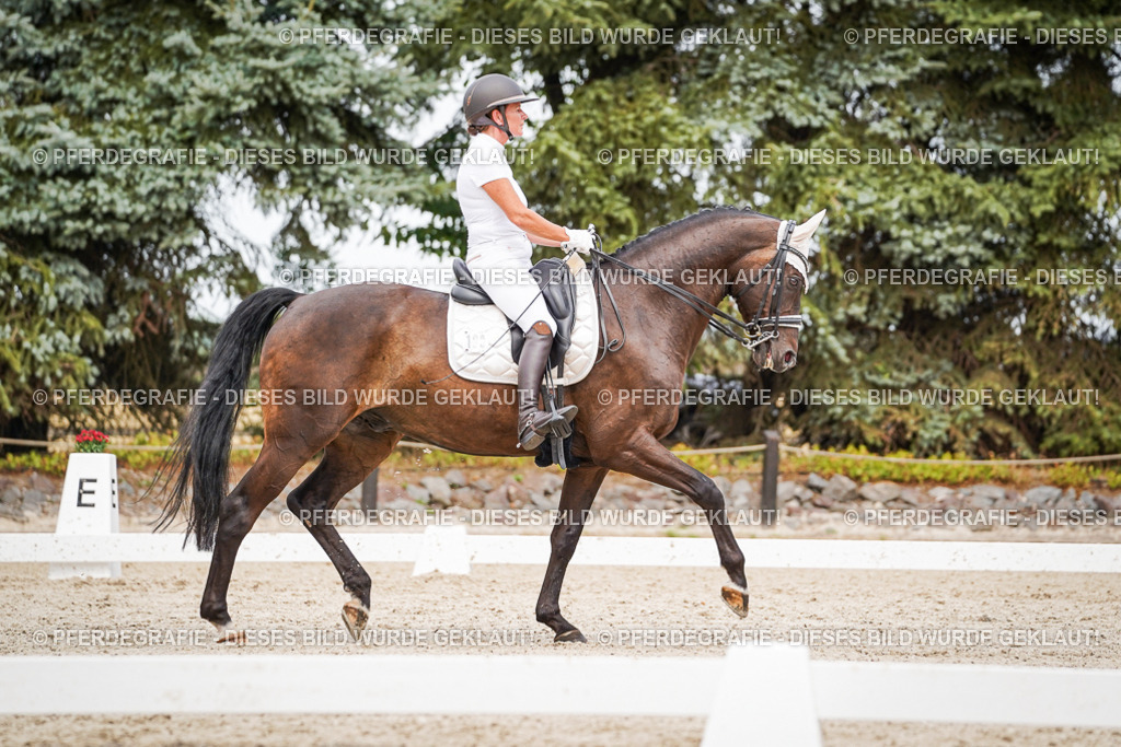 DSC06338 | Pferdegrafie