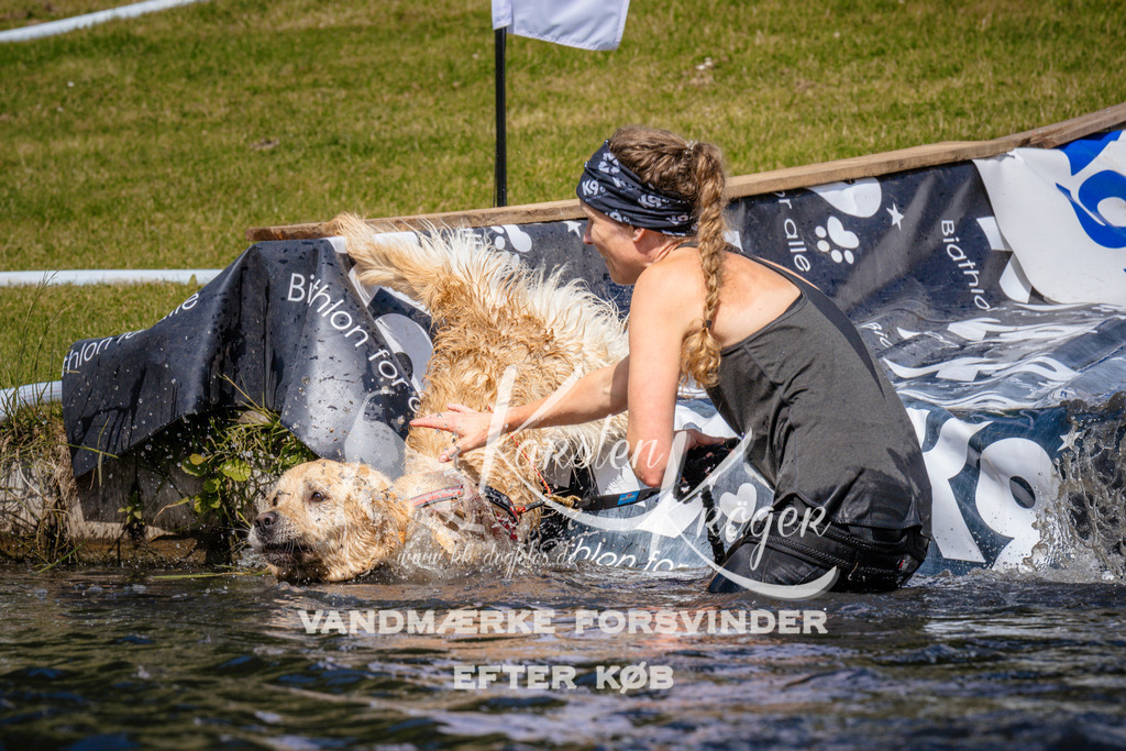 _ZZ951471006 | kk-dogfotos