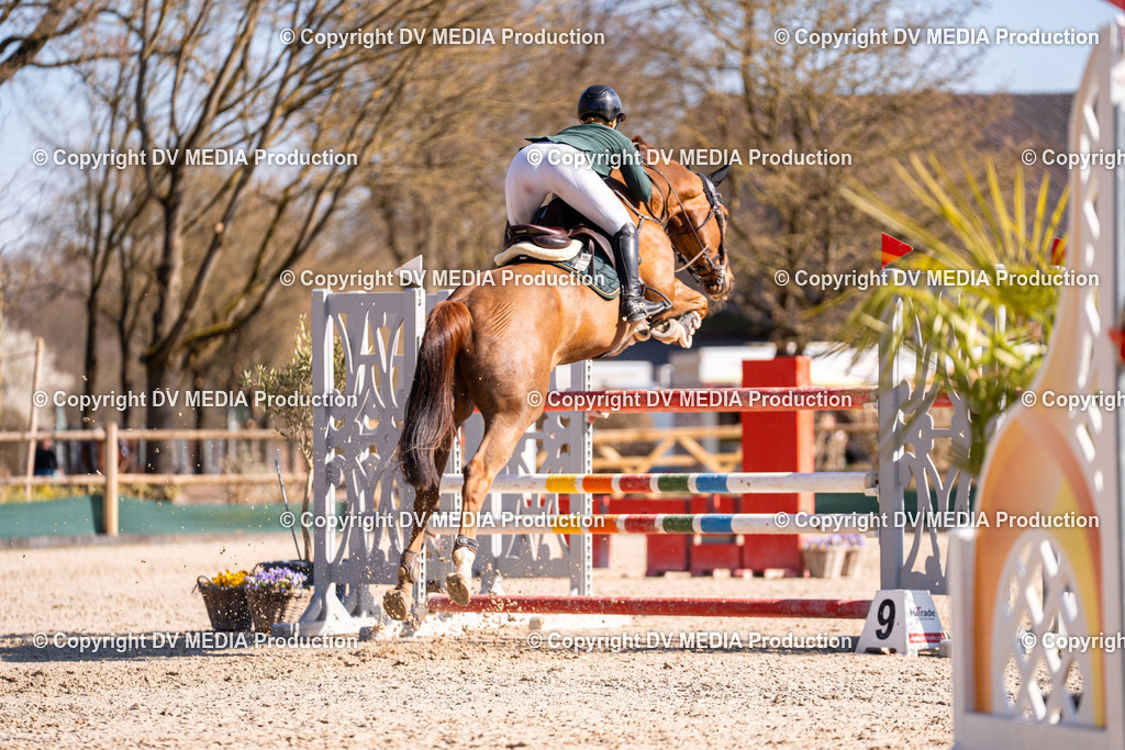 Kranichstein Tag 2-798 | dv-media-shop - Realisiert mit Pictrs.com