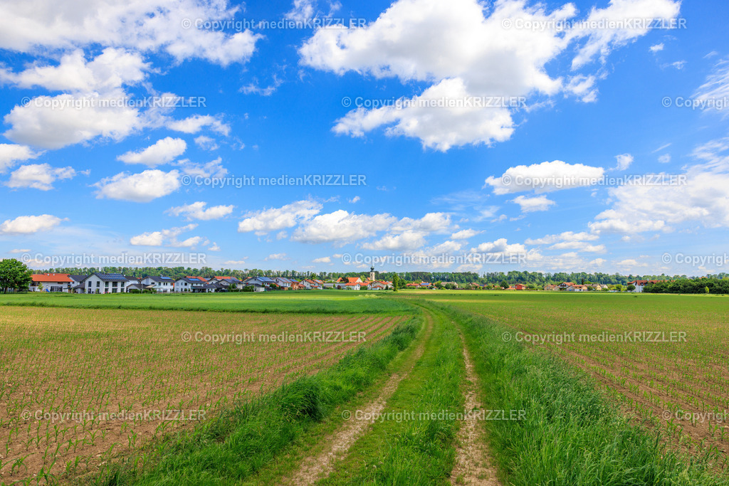 Tacherting | medienkrizzler - Realisiert mit Pictrs.com