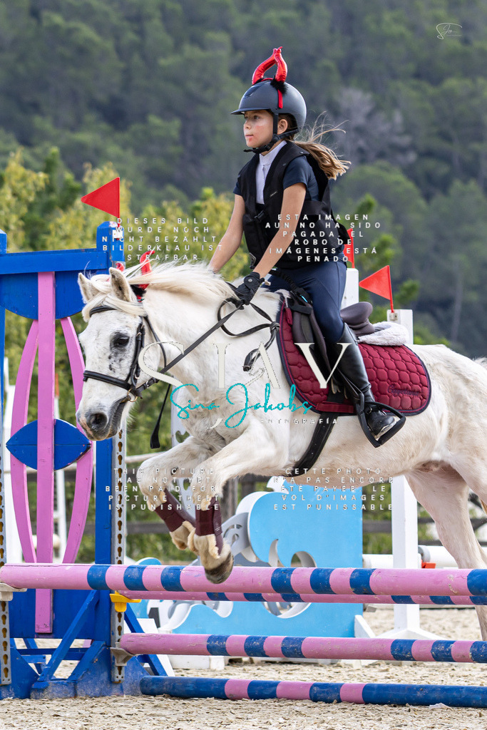 IMG_2266 | s-jay-photography - Realisiert mit Pictrs.com