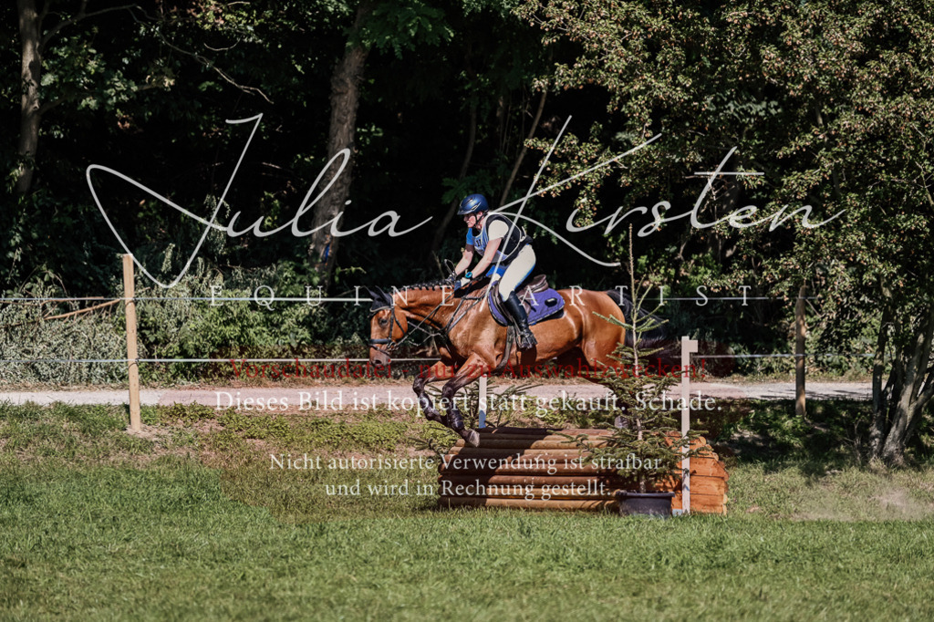 DSC_1981 | Pferde- und Turnierfotografie in Westsachsen. Pferdeportraits, Auftragszeichnungen und intuitive Kunst.