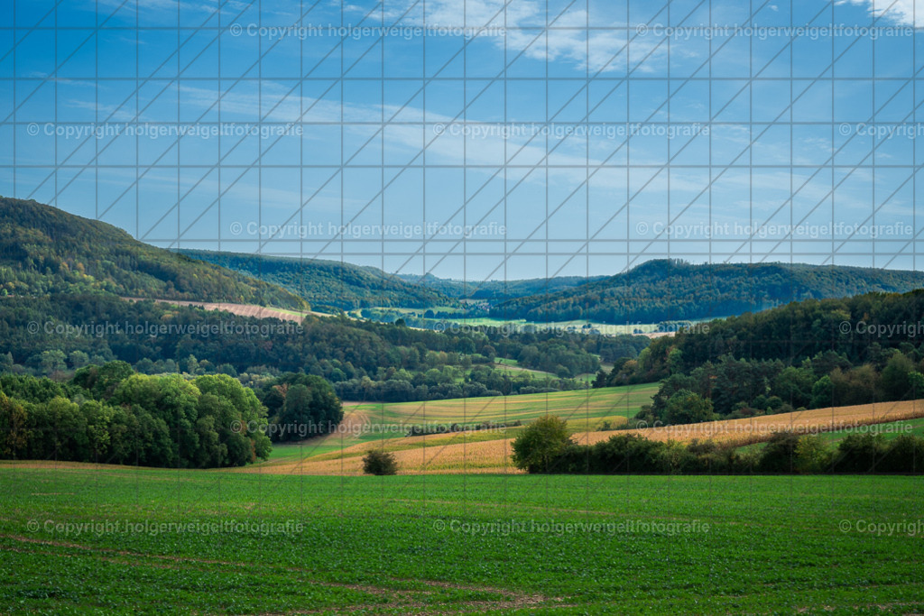 20260928135107Z63_8183 | Kaufen sie online außergewöhnliche Fotografien auf Leinwand Acrylglas Fotoprint Aludibond von holgerweigeltfotografie - Realisiert mit Pictrs.com