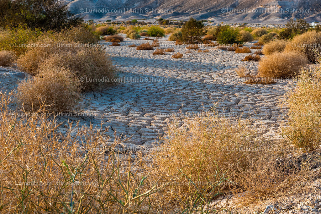 10972-10375 - Negev-Wüste _ Israel | max. Bildgröße A3 | 300dpi - Realisiert mit Pictrs.com