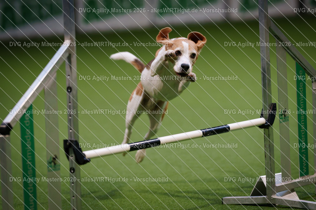 allesWIRTHgut_Tierfotografie-DVG_Agility_Masters_2026-16_47-7R504354 | Professionelle Tierfotografie in Mönchengladbach von Daniel Wirth (allesWIRTHgut). Liebevolle & natürliche Bilder von Hunden & Katzen für unvergessliche Erinnerungen.