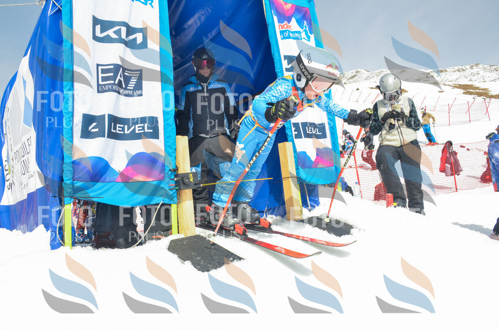 _ELE7467 | holidayphoto