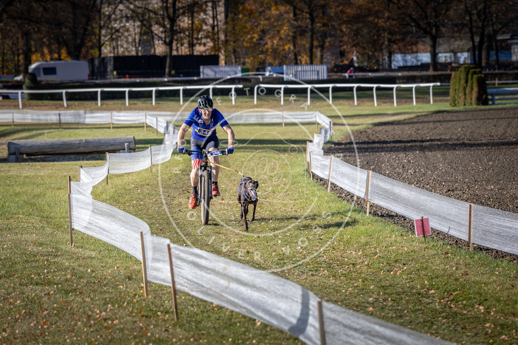 CaniXpix_DV3A7058 | Hundefotografie, Tierfotograf, Pfotenfotografie, Fotoshooting Hund, Hunde Portrait, Hundesport, Hundeportraits, Heideshooting, Hunde, Sportfotograf, Hundefotograf, Turnierhundsport, THS,  - Realisiert mit Pictrs.com