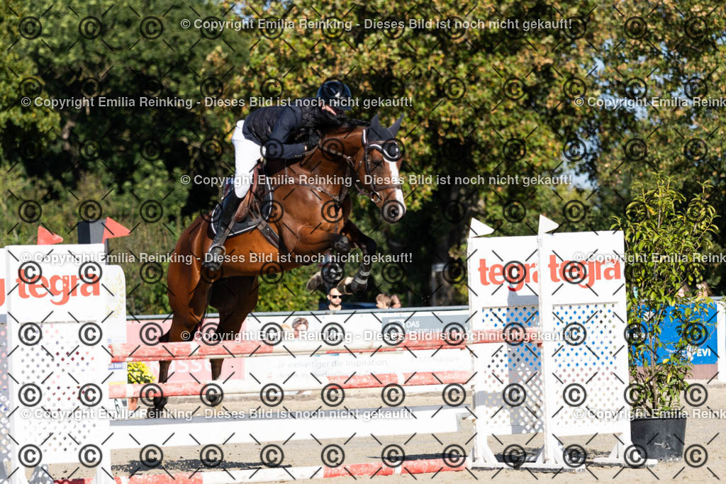 CL5A4303 | Emilia Reinking Fotografie - Realisiert mit Pictrs.com