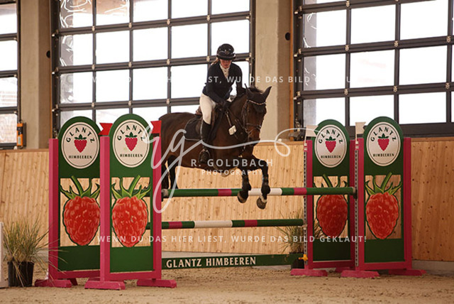 1J2A2705Hanna Nagel_ Rewell 2_ Kn441_ Hohen Wieschendorf_ Glantz | Foto- und Videografie für alles rund ums Pferd. Hochwertige Bilder und Videos vom Spring- und Dressurreiten, Voltigieren & mehr. Jetzt aktuelle Veranstaltungen und Preise im Shop ansehen. - Realisiert mit Pictrs.com