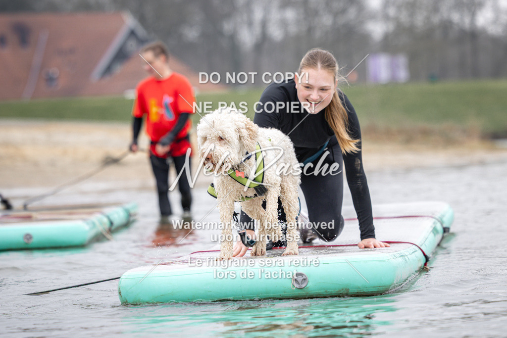 nelerasche_Hulsbeek_Sa1130-1230_72 | nelerasche