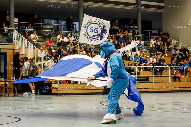 msghab_02046 | despor 2022.10.23 HB Männer Oberliga MSG Umstadt/Habitzheim - TV Petterweil  emspor, emonline, despor,  v.l.,  
 - Realisiert mit Pictrs.com