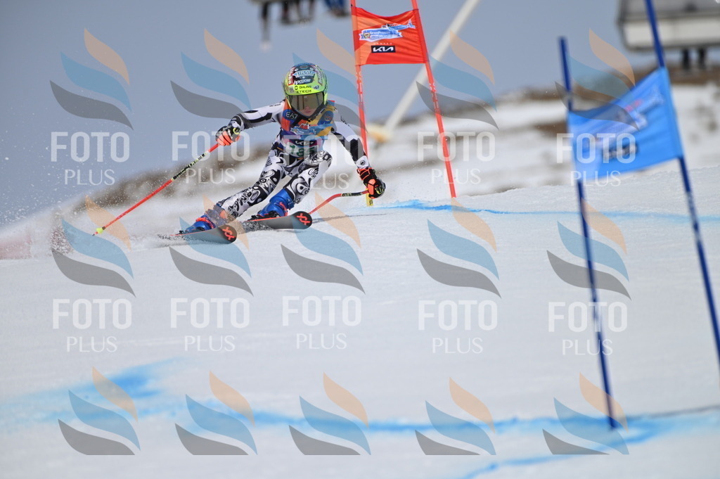 BGV_3613 | holidayphoto