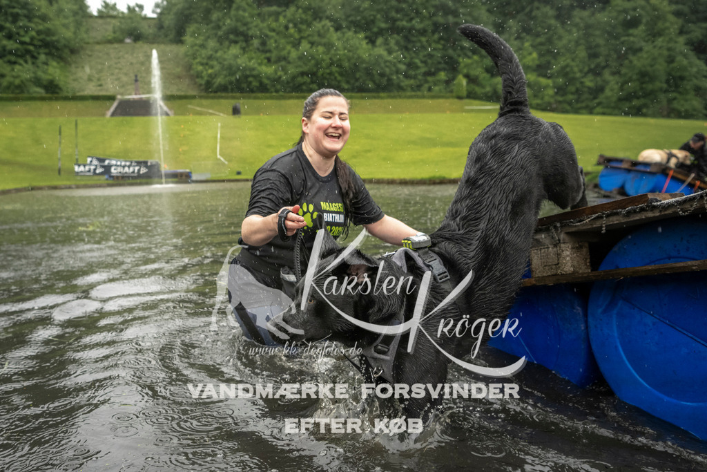 1334_ZZ99208 | kk-dogfotos