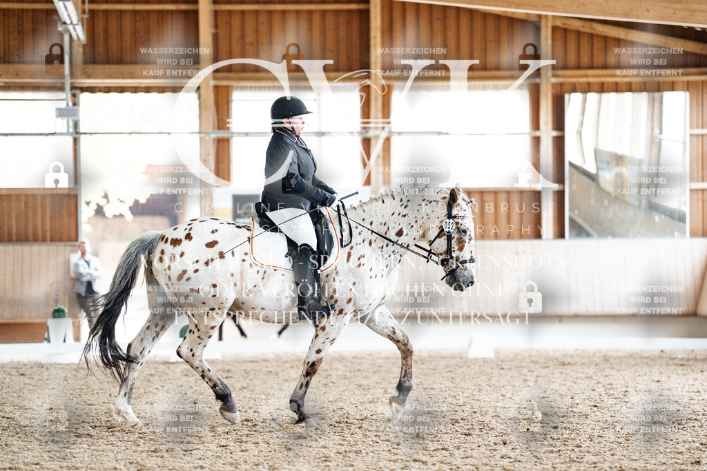 CK901213 | Turnierfotografie Pferdefotografie Trier Rheinland-Pfalz Pferdesport Reitsport Tierfotografie Sportfotografie Pferdevideo Pferdevideografie Equestrianvideography equestrianphotography  - Realisiert mit Pictrs.com