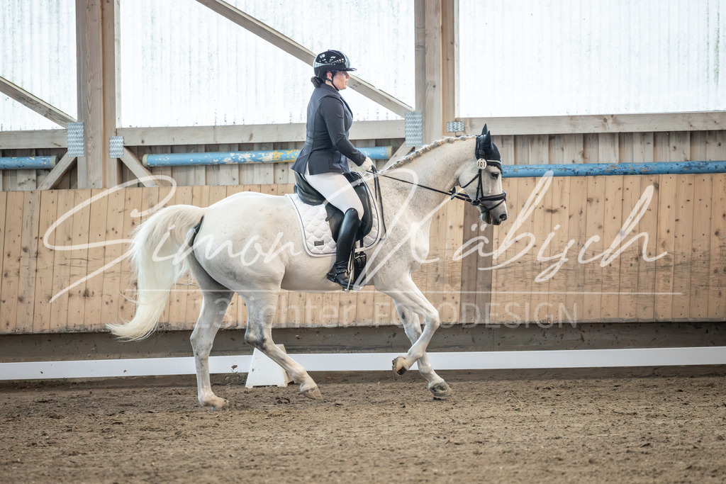 20251011-_3LI6258 | Tierfotografie Pferde, Hunde, Katzen, Haustiere.
Turnierfotografie Reitturniere, Reiten, Springreiten, Dressur in Hanau, dem Main-Kinzig-Kreis und dem Rhein-Main- Gebiet um Frankfurt