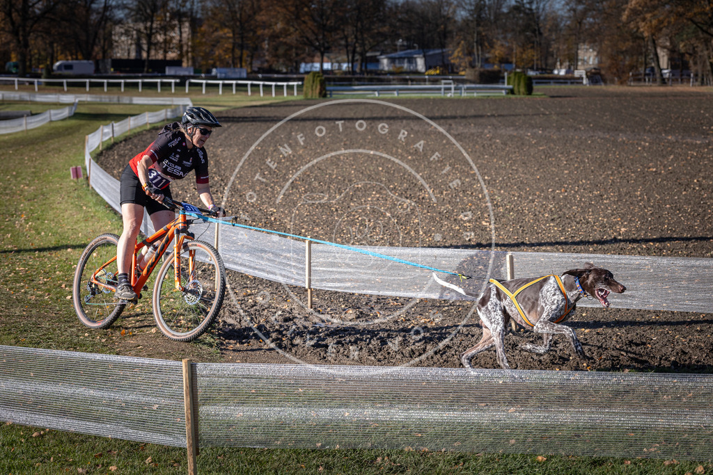 CaniXpix_DV3A6353 | Hundefotografie, Tierfotograf, Pfotenfotografie, Fotoshooting Hund, Hunde Portrait, Hundesport, Hundeportraits, Heideshooting, Hunde, Sportfotograf, Hundefotograf, Turnierhundsport, THS,  - Realisiert mit Pictrs.com