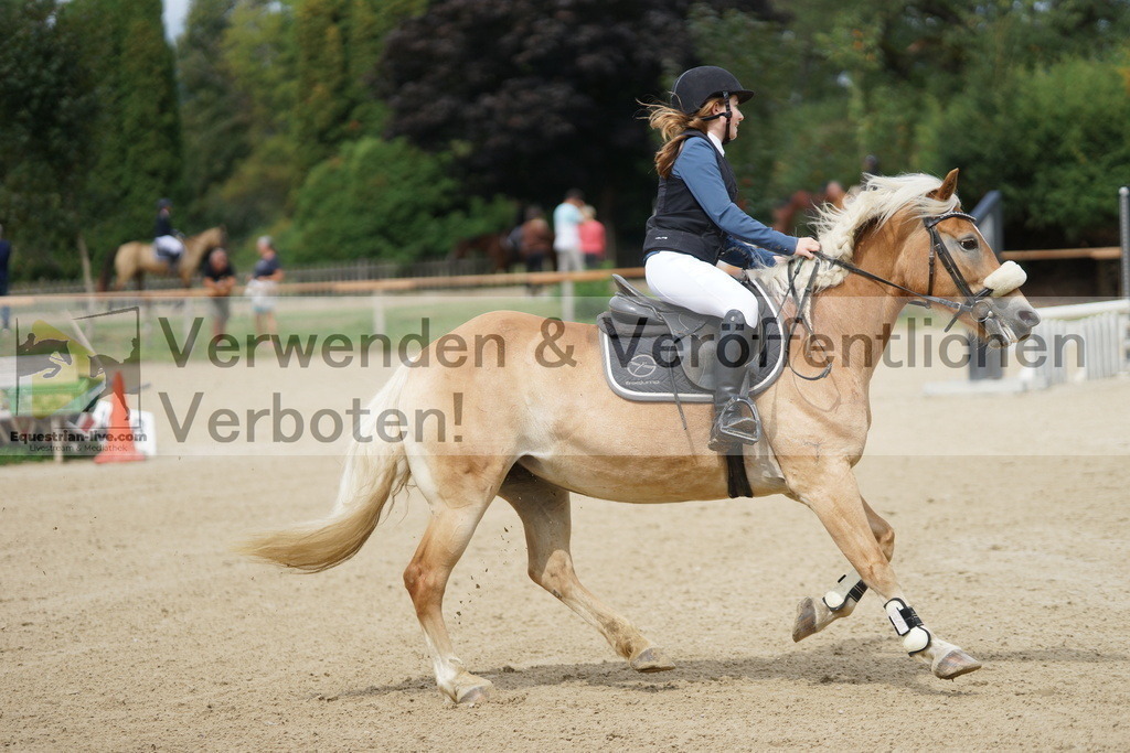 DSC06301 | equestrian-live-com